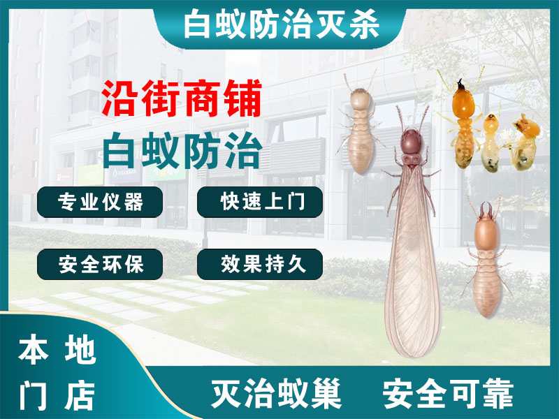 闵行沿街商铺白蚁防治