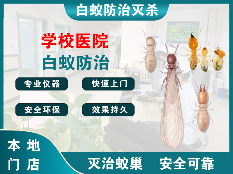 闵行学校医院白蚁防治