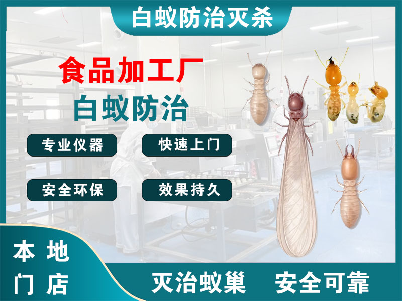 闵行食品加工厂白蚁防治