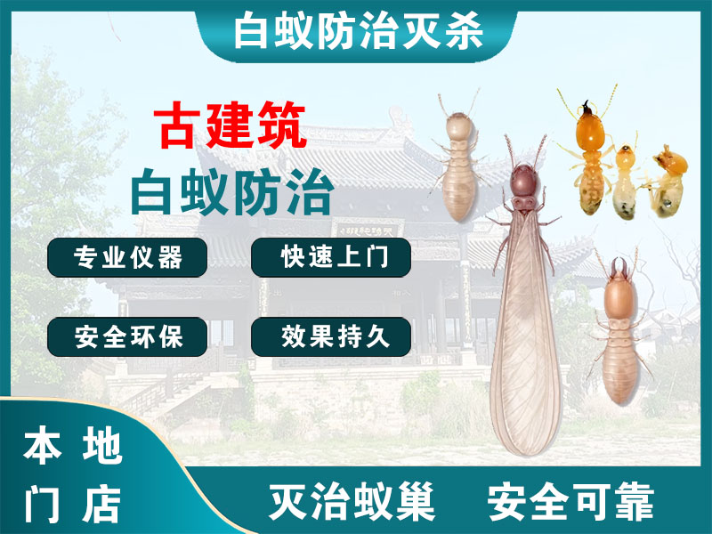闵行古建筑白蚁防治