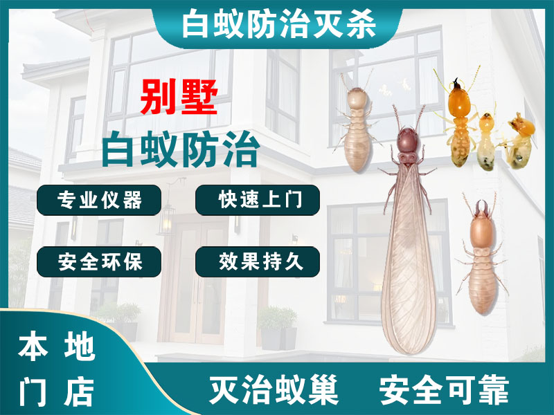 闵行别墅白蚁防治