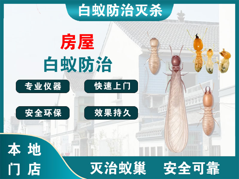 闵行房屋白蚁防治